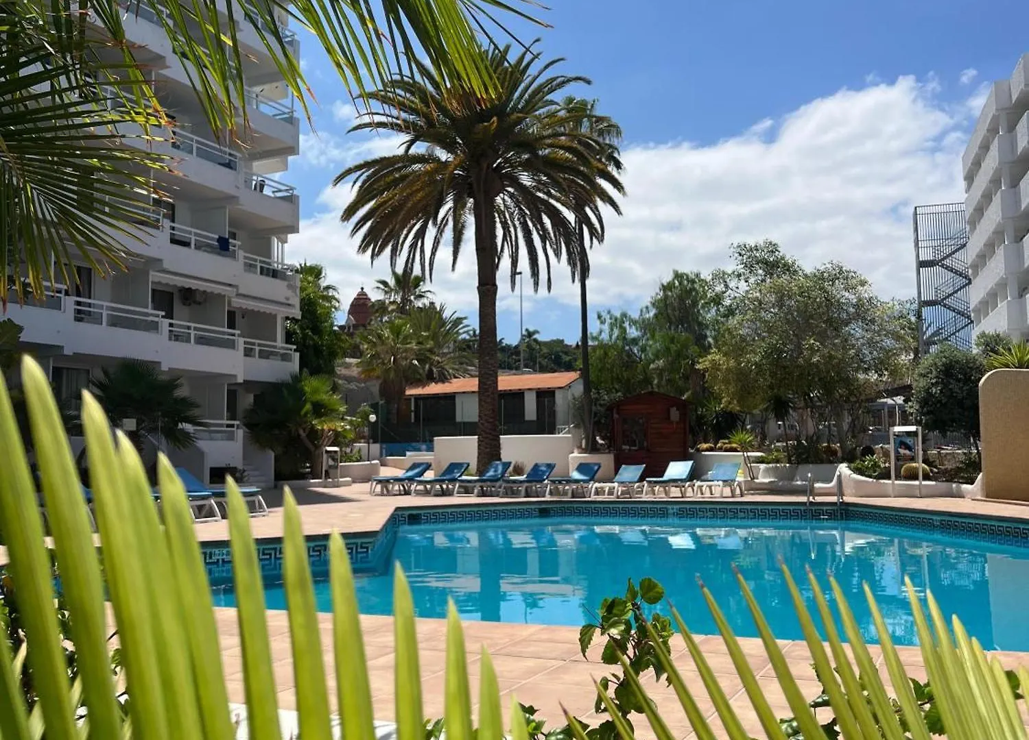 Tenerife Sea View Sun Beach Apartment 214 Плайя-Фаньябе Испания