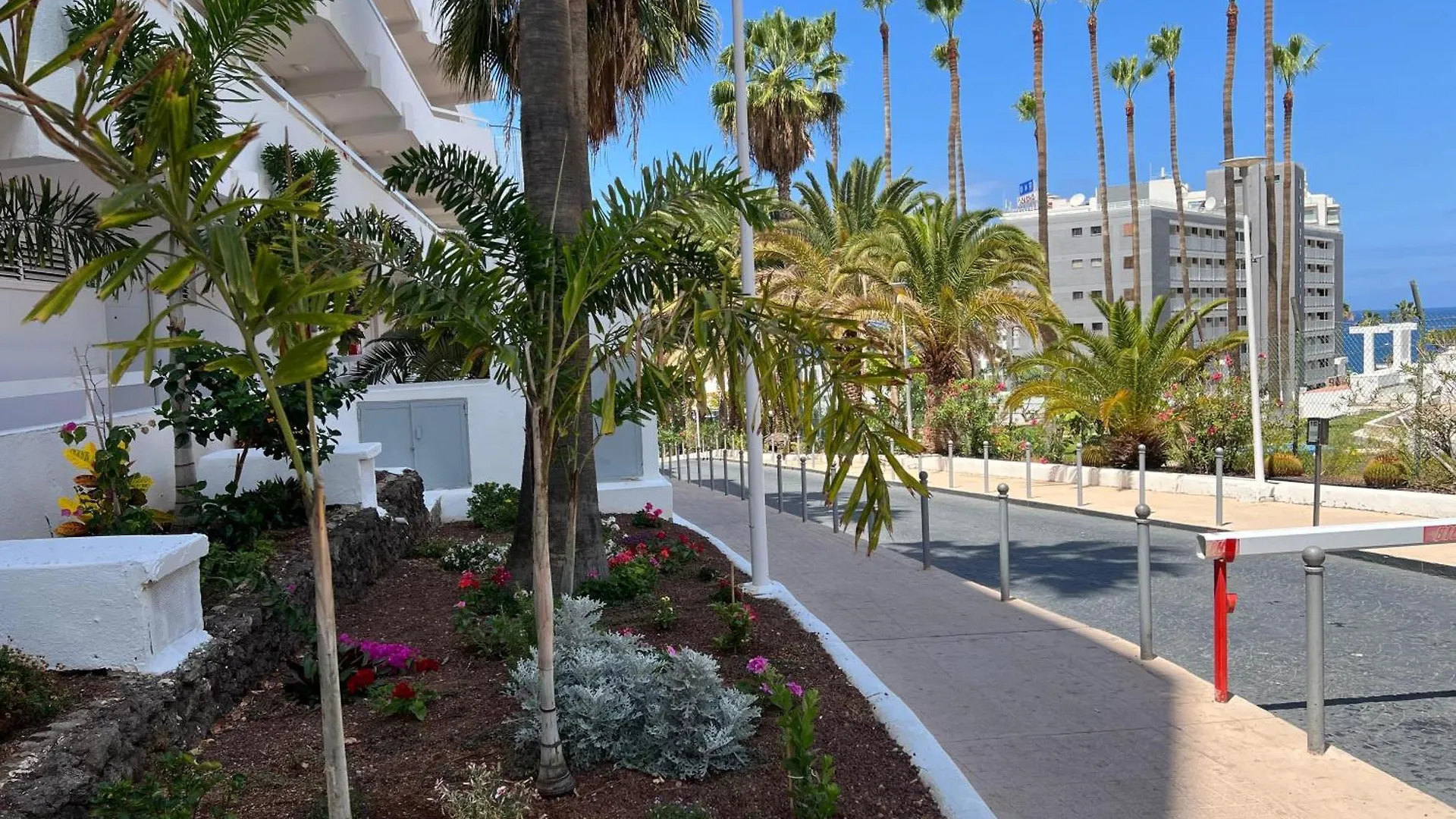 Tenerife Sea View Sun Beach Apartment 214 Плайя-Фаньябе